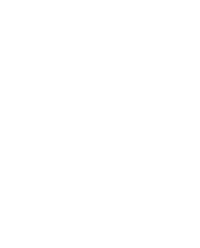 Digital Twin Flames