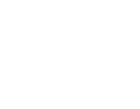 The Video Store