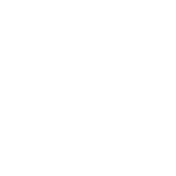 WordPress-logotype-wmark-white